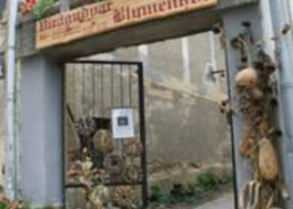 Blumengarten Blumengarten