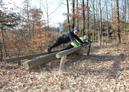Forstmeile zwischen Holzschlag und Günseck Forstmeile zwischen Holzschlag und Günseck