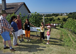 Der Weinlehrpfad beginnt bei der „Vinothek Reichermühle“