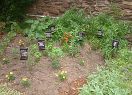 Heilkräuter und Gewürzpflanzengarten und Naturgeschäft Heilkräuter und Gewürzpflanzengarten und Naturgeschäft