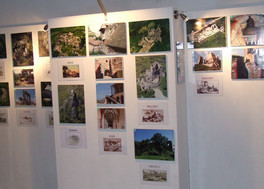 die Ausstellung die Ausstellung