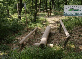Das Campingareal steht für Gruppen aus aller Welt offen. Das Campingareal steht für Gruppen aus aller Welt offen.